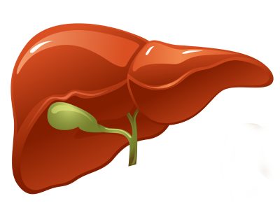 Hepatitt C