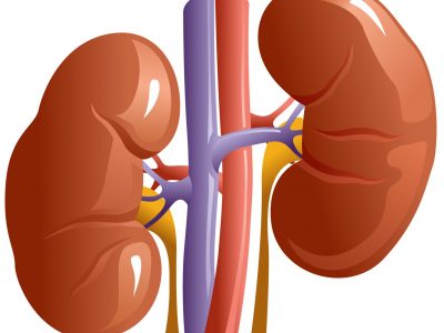 Kronisk Glomerulonefritt