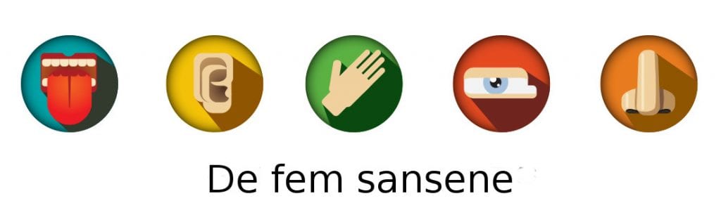 Fem "klassiske" sanser: Smak, hørsel, berøringssans, syn og lukt. Bilde: www.modrobotics.com