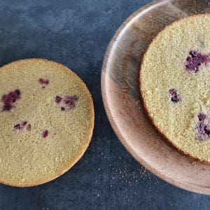 Lavkarbo bløtkake