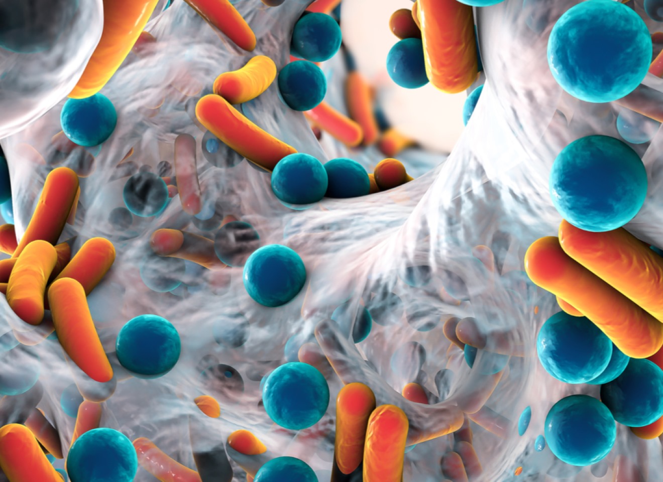 Forskning viser at en sunn tarmbarkterieflora kan ha stor innvirkning på din helse.