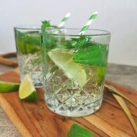 Lavkarbo mojito