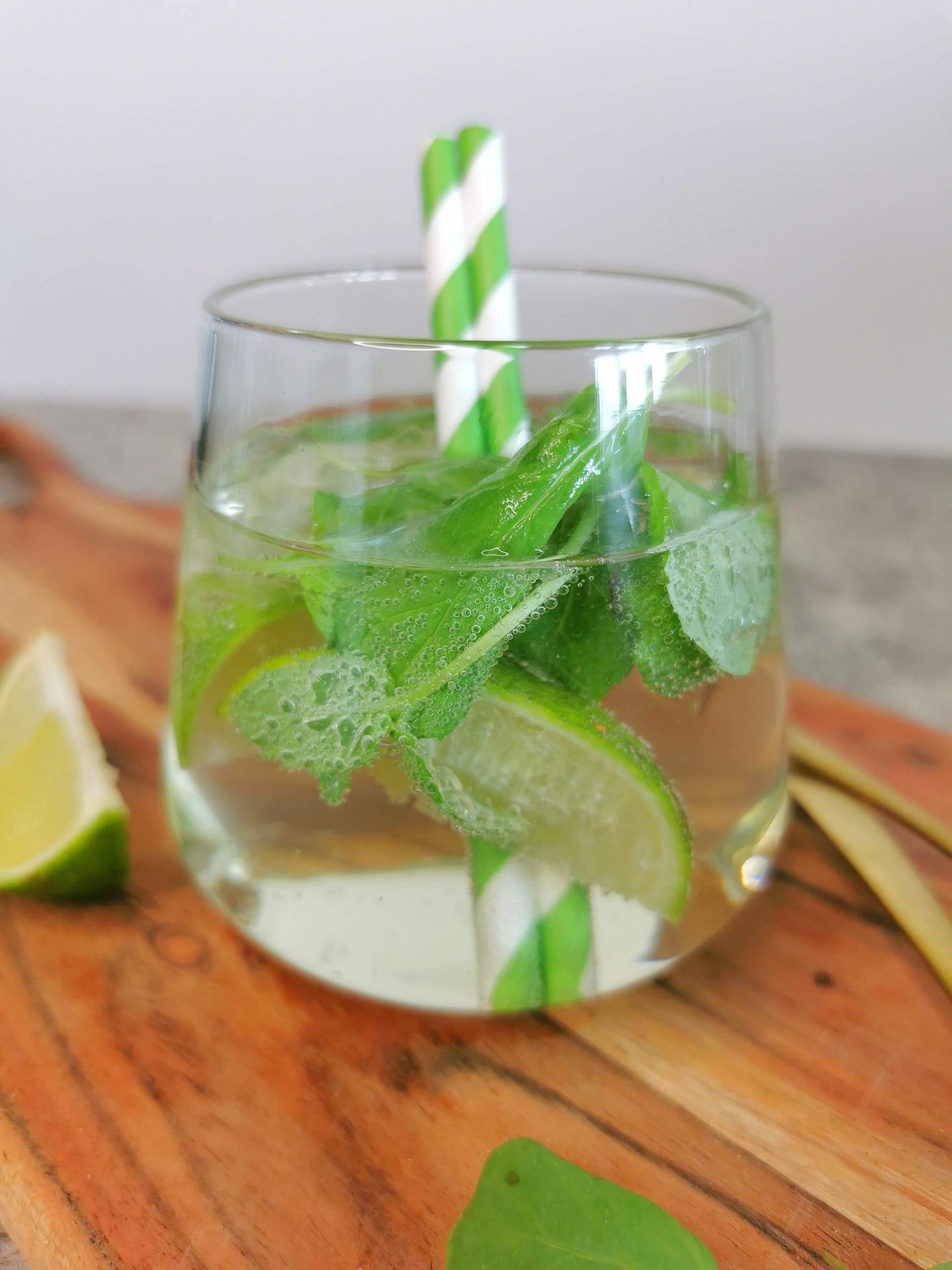 Lavkarbo mojito