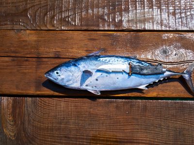 Omega-3 og omega-6 fettsyrer: Matvarene som bør utelates og som bør inngå i ditt kosthold